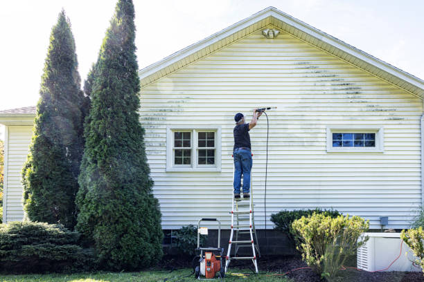 Best Roof Cleaning and Mildew Removal in Lincoln Village, OH